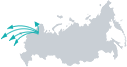 2007 2007